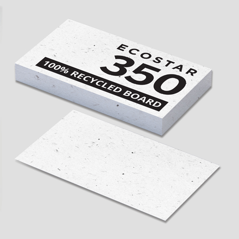 350 EcoStar Uncoated 100% Recycled Board